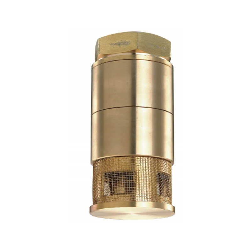 Durable Brass Double-Poppet Foot Valve for Fuel Suction Systems