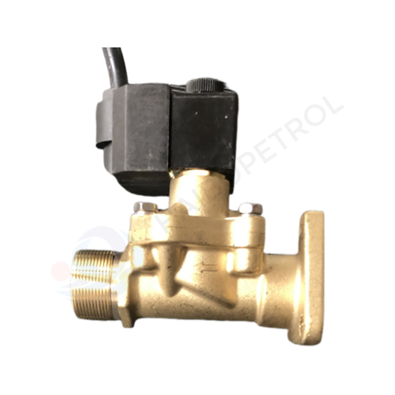 High-Performance Dual-Flow Solenoid Valve for Fuel Dispensers